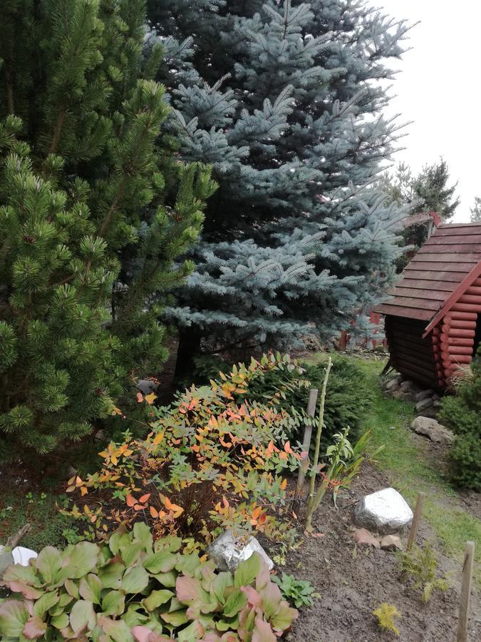 Guest House Uyutnyy Brest Exterior photo